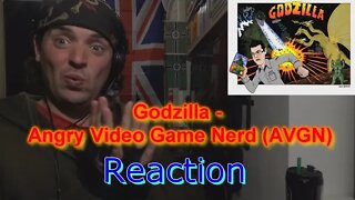 Reaction: Godzilla - Angry Video Game Nerd (AVGN)