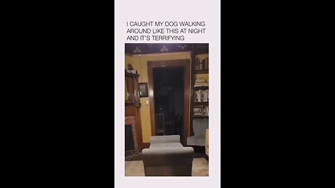 Terrifying moment when dog 🐕 was caught walking strangely in the middle of the night