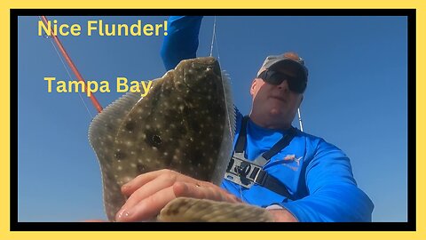 Nice Flounder in Tampa Bay