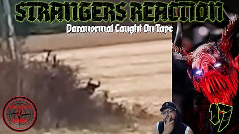 STRANGERS REACTION. Paranormal Caught On Tape. Paranormal Investigator Reacts. Episode 17