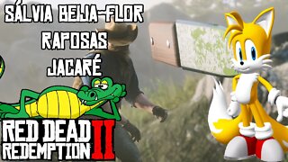 DESAFIOS DIÁRIOS RDR 2 SÁLVIA BEIJA FLOR, RAPOSAS E JACARÉS