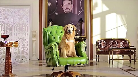 Dog Gets Fortune Of 30 Billion After Its Billionaire Master Death