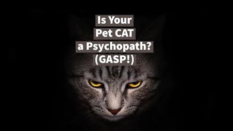 Is Your Pet Cat a Psychopath? (PURR, GASP!)