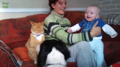 Funny Babies Laughing Hysterically at Cats most funny video