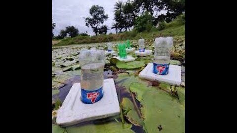 Unbelievable Technique Best Plastic Bottle Trapping Fishing Video Beautiful Village Pond