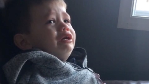 Adorable boy devastated after his dog eats his granola bar