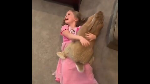 Cute baby enjoy playing with Bunny 🐇