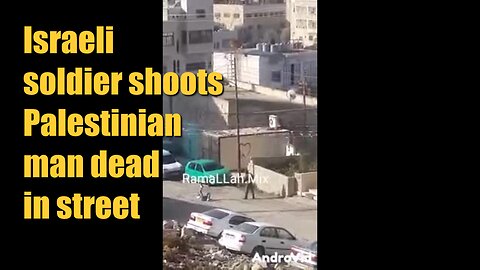 Israeli soldier shoots Palestinian man dead in street