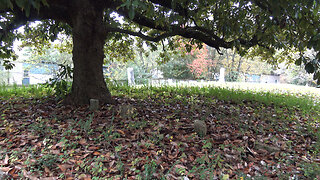 Sivley Cemetery