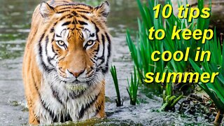 10 tips to keep cool in summer - FREE COMPLETE ENGLISH COURSE FOR THE WHOLE WORLD