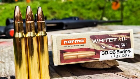 Norma Whitetail 30-06 | 100 Yard Group Test