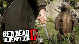 Red Dead Redemption 2 - Caçada ao urso - Live