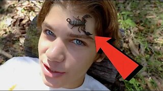 Venomous SCORPION on my FACE! HD