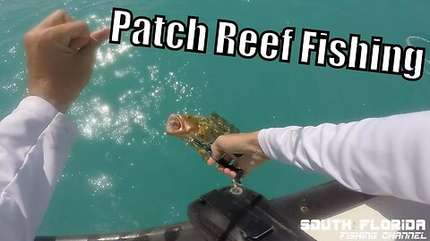Remora tastes like Cobia? Patch Reef Fishing catch n cook