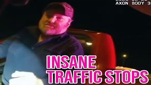 Most INSANE traffic stops ever caught on camera
