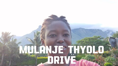 Malawi Road Drive Mulanje to Thyolo | Enjoy the beautiful tea estates greenery