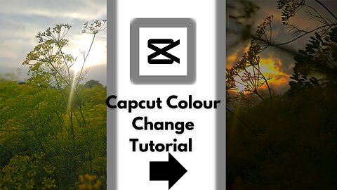 Capcut Couler Change Tutorial 🔥 || How To Change Viedo Couler || #capcut