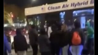 Bus Driver Brutally Beat By Mob In Chicago
