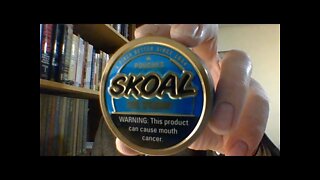 The Skoal Cool Spearmint Pouches Review