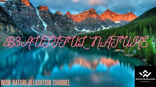 Beautiful Nature | Landscape | Background Video | Lake water | Eagle | sky