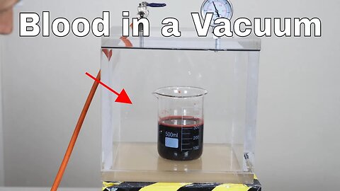 Crazy Reaction of Blood in a Vacuum Chamber! Does Blood Actually Boil in Space?
