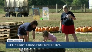 Shepherd's Cross pumpkin festival underway