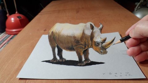 How to draw a 3D rhinoceros