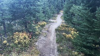 Hiking Three Sisters Wilderness Alpine Forest to Soda Creek Junction! | No Name Lake | 4K | Oregon