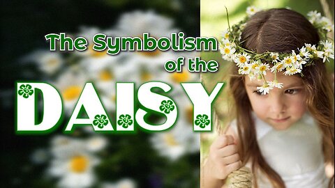 The Symbolism of the Daisy