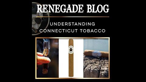 Cigar Education | Phil Zanghi on Connecticut Tobacco