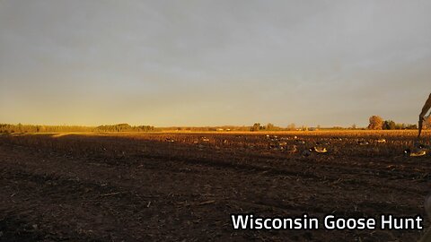 Wisconsin Goose Hunt