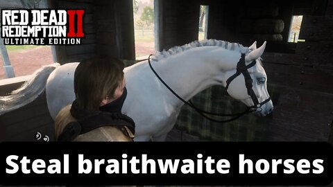 red dead redemption 2 steal braithwaite horses #2022