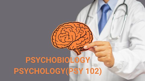 The Ultimate Guide to Understanding Psychobiology Psychology