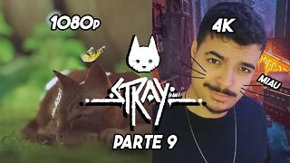 O jogo do gato - Stray- Parte 9