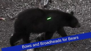 Understanding broadheads and bows for bears