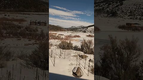 Colorado River From the California Zephyr! - Part 2