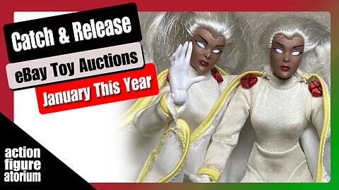 Catch & Release | eBay Toy Auctions | January of this year | Get in here collectors