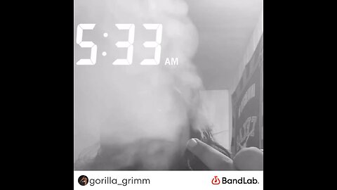 Gorilla GriMM - Fake Niggas