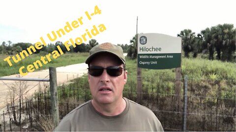 Tunnel under I-4 accessed via Hilochee Osprey Unit Wildlife Management Area, Polk County, Florida