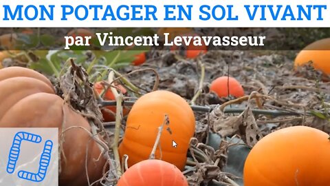 Mon potager en sol vivant ! par Vincent Levavasseur