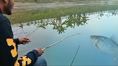 Tricks to catch small fish with a bow #Fish