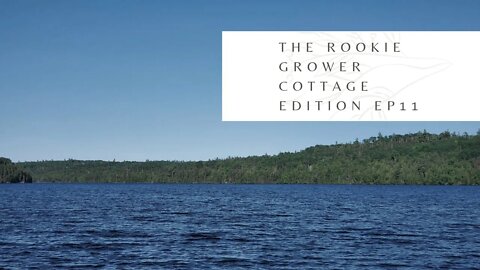 Cottage Edition Episode 10