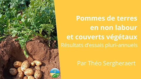 Pommes de terres en non labour et couverts végétaux, résultats d’essais pluriannuels, T. Sergheraert