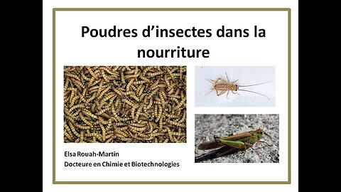 Poudres d'insectes autorisées dans la nourriture en UE depuis 2023