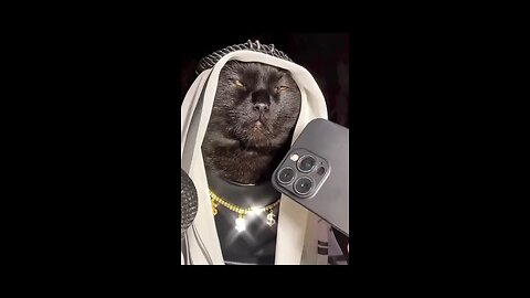 Funny animals videos 2023 😍-Funniest dogs and cats🤣🤣