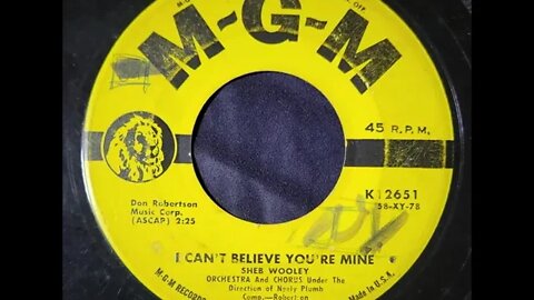 Sheb Wooley - I Can't Believe You're Mine