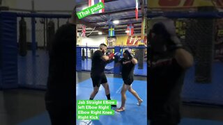 Thai pads working Elbow Knees and Kicks