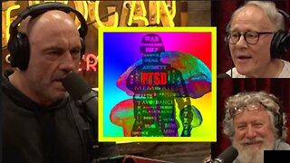 Joe Rogan The Power Of Healing PTSD With Psilocybin !! & Terence McKenna Ground Breaking Ideas!