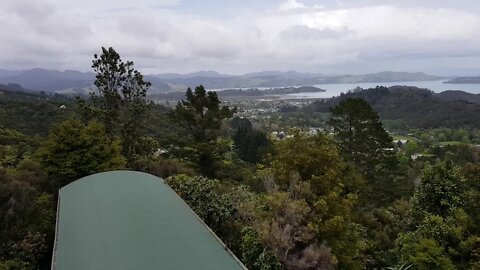 At the top of eyefull tower at Driving Creek Railway