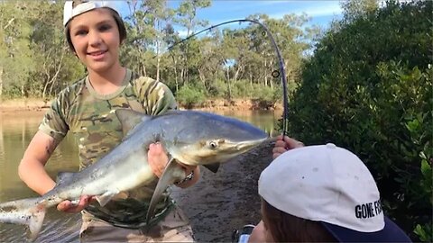 Shark Fishing and catching HUGE fish!